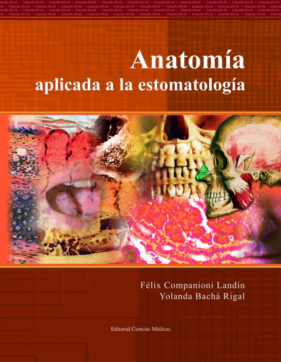 Anatomía aplicada a la estomatología.
